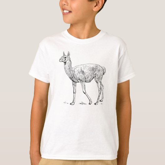 Guanaco T-Shirt (Vorderseite)