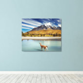 Guanaco überquert den Fluss in Torres del Paine Leinwanddruck (Insitu (Holzboden))