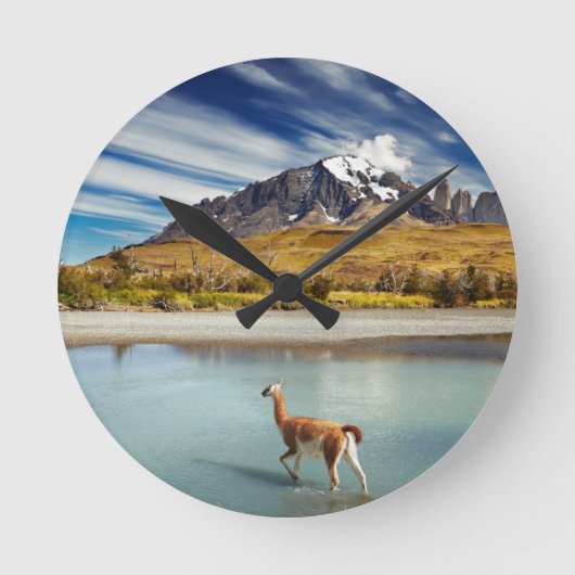 Guanaco überquert den Fluss in Torres del Paine Runde Wanduhr (Vorderseite)