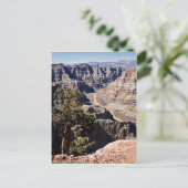 Guano Point -postcardcopy Postkarte (Stehend Vorderseite)