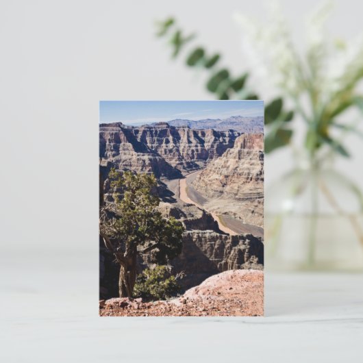 Guano Point -postcardcopy Postkarte (Stehend Vorderseite)