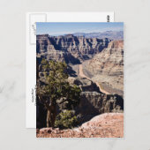 Guano Point -postcardcopy Postkarte (Vorne/Hinten)