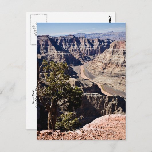 Guano Point -postcardcopy Postkarte (Vorne/Hinten)