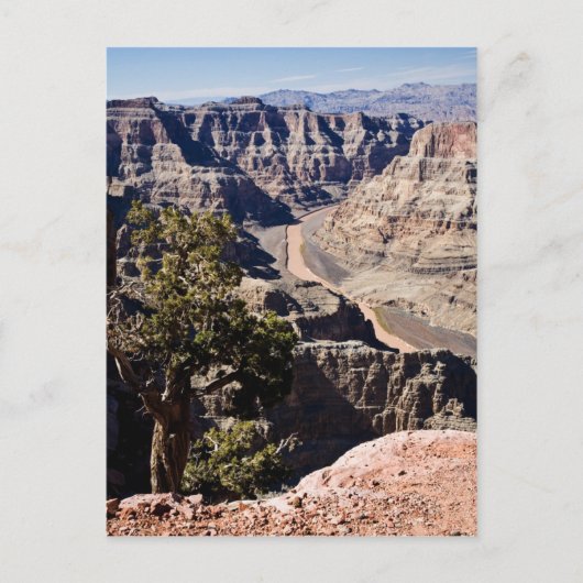 Guano Point -postcardcopy Postkarte (Vorderseite)