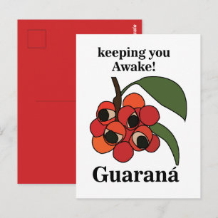 Guarana-Fruchtpflanze Botanisch Postkarte