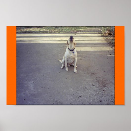 Guard Dog Poster (Vorne)