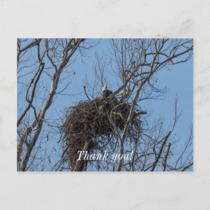 Guard Eagle Vielen Dank Postcard Postkarte
