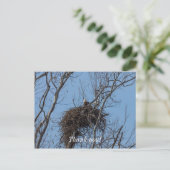 Guard Eagle Vielen Dank Postcard Postkarte (Stehend Vorderseite)
