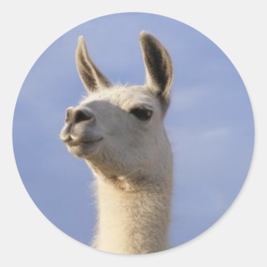 Guard Llama Runder Aufkleber (Vorderseite)