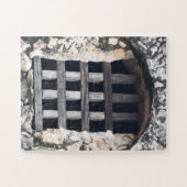 Guarded Light Through Wooden Bars Puzzle (Horizontal)