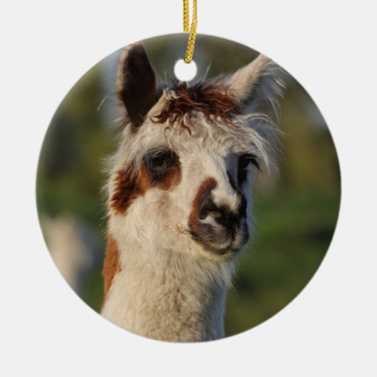 Guardian Llama Keramik Ornament (Vorne)
