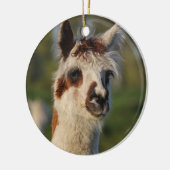 Guardian Llama Keramik Ornament (Links)