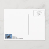 Guarding Eagle Denken Sie an Sie Postcard Postkarte (Rückseite)