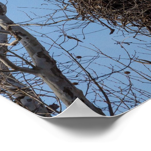 Guarding Eagle Poster (Ecke)