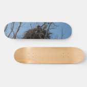 Guarding Eagle Skateboard (Horizontal)