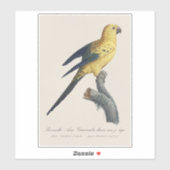 Guarouba dans söhns jüdisches Alter / Sonnenparake Aufkleber (Blatt)