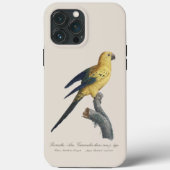 Guarouba dans söhns jüdisches Alter / Sonnenparake Case-Mate iPhone Hülle (Rückseite)