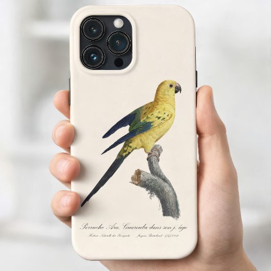 Guarouba dans söhns jüdisches Alter / Sonnenparake Case-Mate iPhone Hülle