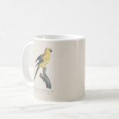 Guarouba dans söhns jüdisches Alter / Sonnenparake Kaffeetasse (Vorderseite Links)