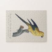 Guarouba dans söhns jüdisches Alter / Sonnenparake Puzzle (Horizontal)