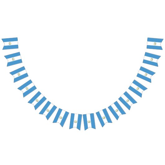 Guatemala flag  wimpelkette (Alle)