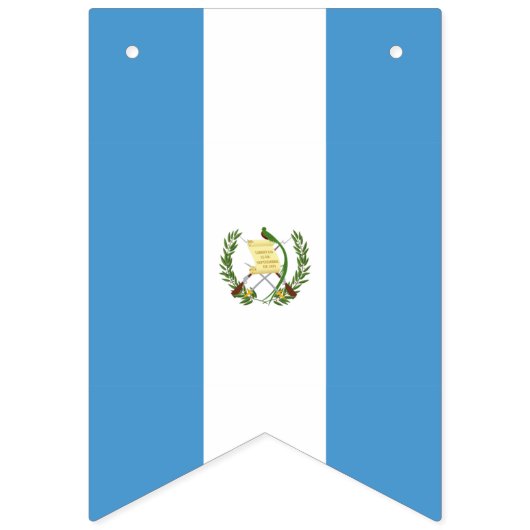 Guatemala flag  wimpelkette (Zweite Fahne)