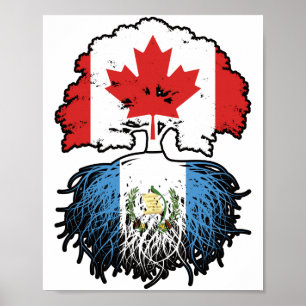 Guatemala Guatemala Kanada Tree Roots Poster