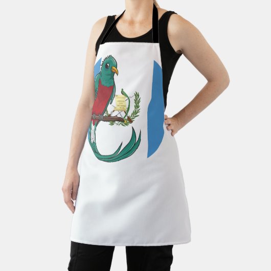 Guatemala-Quetzal-Guatemala-Nationalflagge Schürze (InSitu)