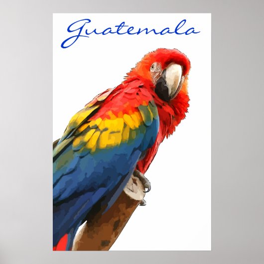 Guatemala Scarlet Macaw Poster (Vorne)