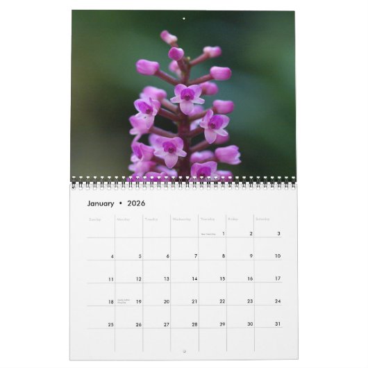 Guatemaltekischer Orchideen-Kalender Kalender (Jan 2026)