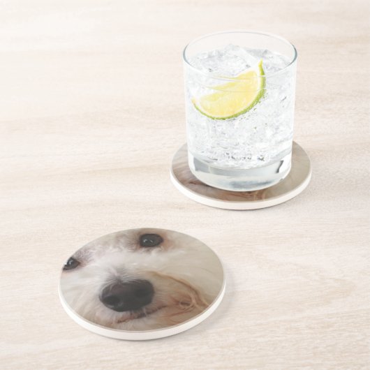 Gucci - ein Bichon Frise - Untersetzer (Seite)