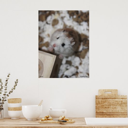 Gucci Poster (Küche)