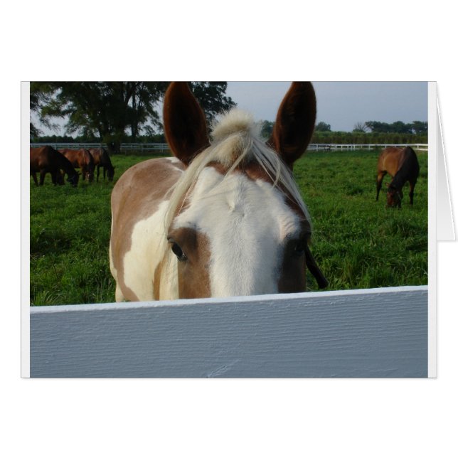 Guck-guck-Pferd (Vorderseite (Horizontal))