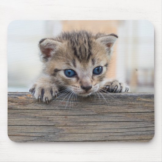 Guck-mal-Schnurr Mousepad (Vorne)