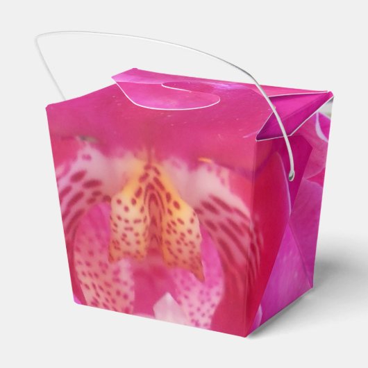 Guda Geschenkschachtel (Rückseite)