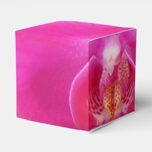 Guda Geschenkschachtel (Rückseite)