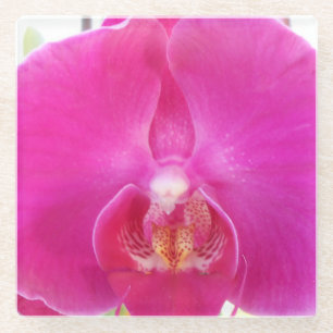 Guda Glasuntersetzer