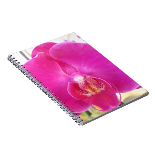 Guda Notizblock (Rechte Seite)