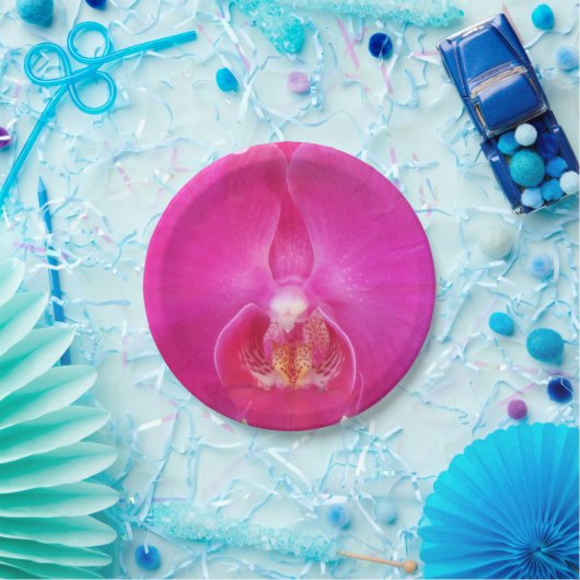 Guda Pappteller (Party)