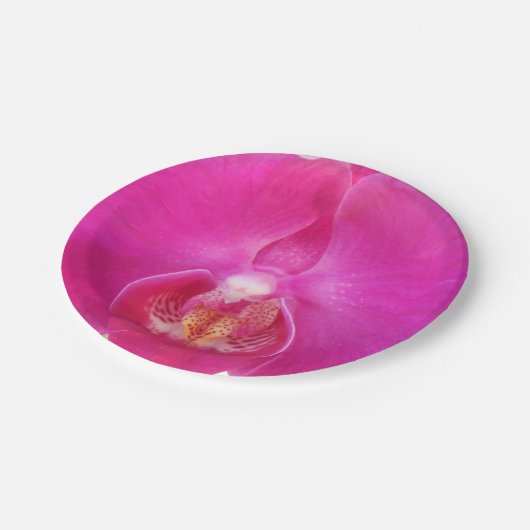 Guda Pappteller (Schrägansicht)