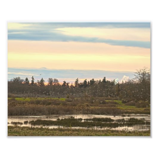 Guemes Island Valley, Guemes Island Fotodruck (Vorne)