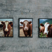 Guernsey Cow Poster