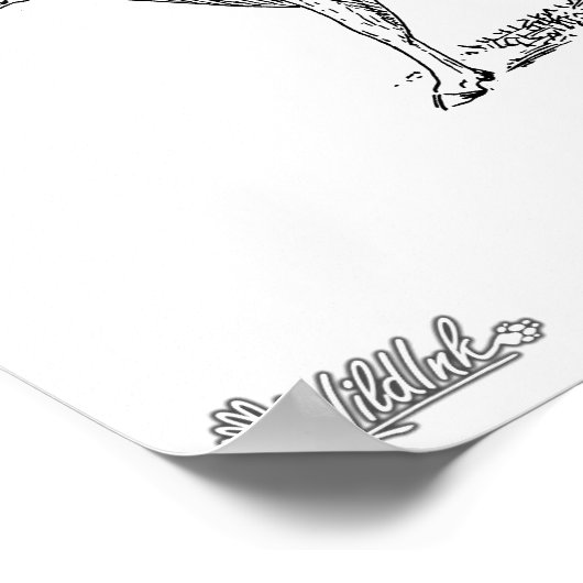 Guernsey Cow Poster (Ecke)