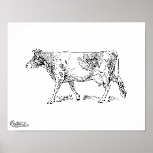 Guernsey Cow Poster (Vorne)