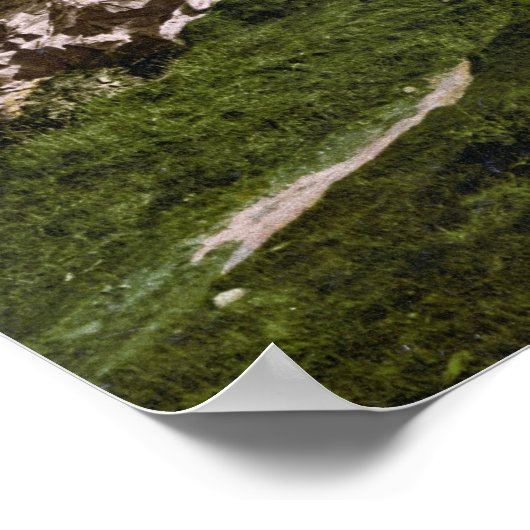 Guernsey im 19. Jahrhundert Poster (Ecke)