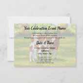 Guernsey Kuh & Niedlich Calf im Sommer Weide Einladung (Rückseite)