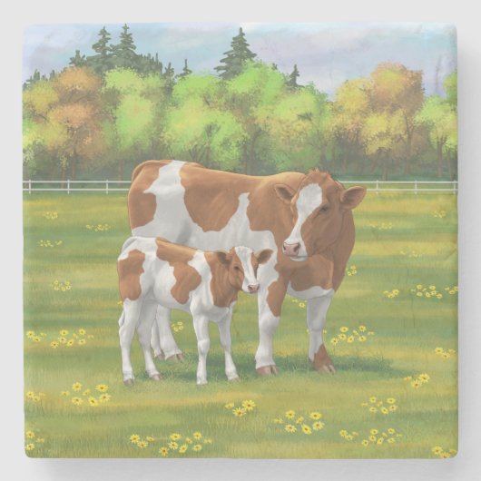 Guernsey Kuh & Niedlich Calf im Sommer Weide Steinuntersetzer (Vorderseite)