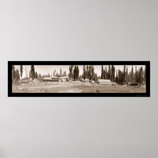Guest Ranch Horse Fun Foto 1911 Poster (Vorne)