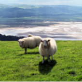 GUH BERGSCHAFT Case-Mate iPhone HÜLLE