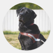 Guide Dog Envelope Seal – Black LabradorWisdom Runder Aufkleber (Vorderseite)